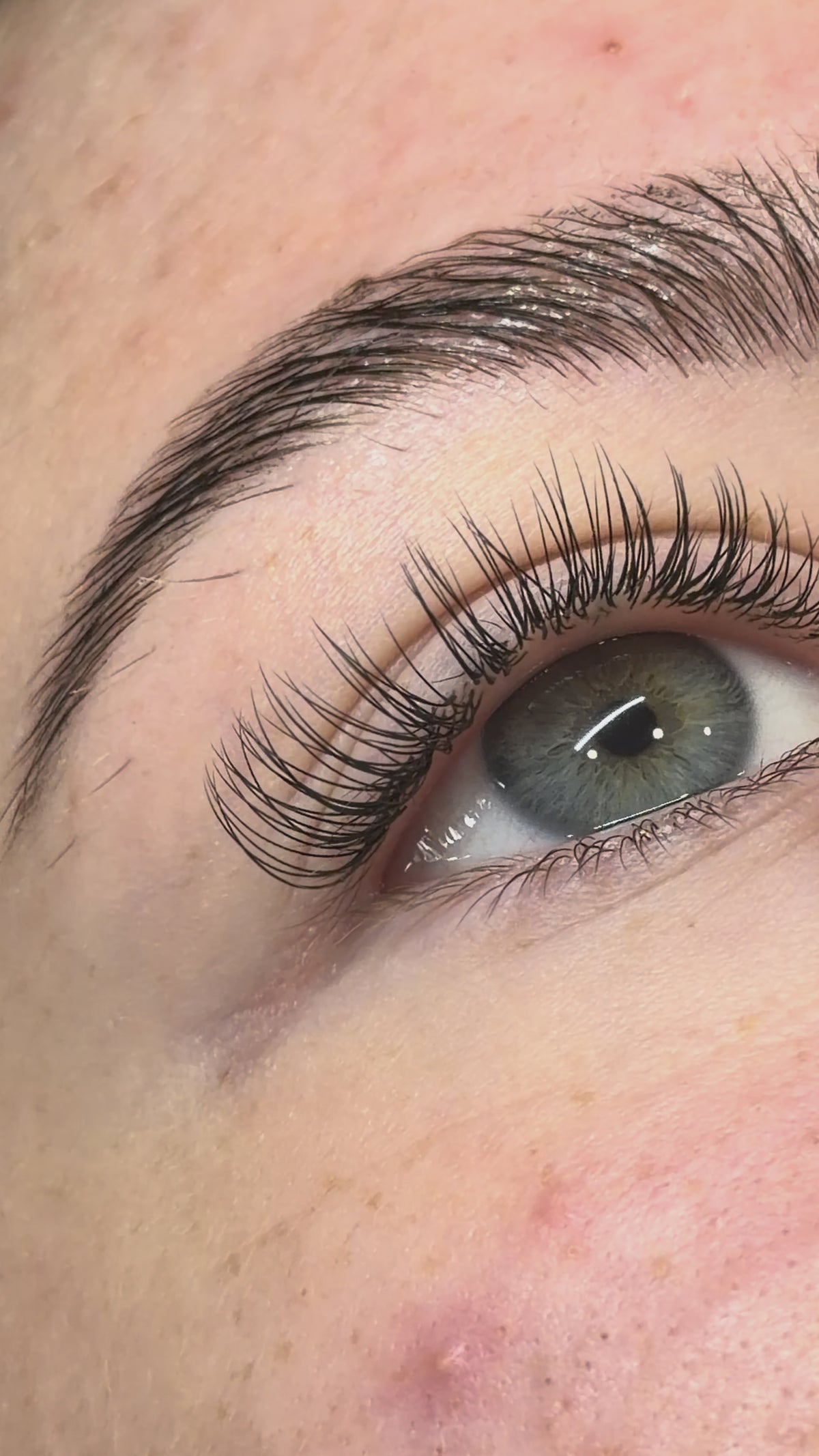 Redefined Classic Lashes